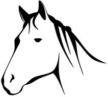 barnyard equine horse drawing