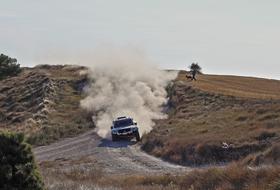 Rally Cars