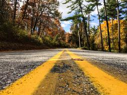 macro photo of yellow markings on an asphalt road
