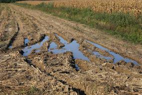 Tractor Road Field