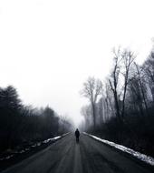 Dark Nature Trees and road