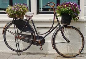 Bike Old Two Wheeled