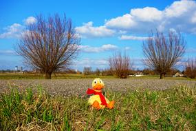 Stuffed Duck Animal toy on grass