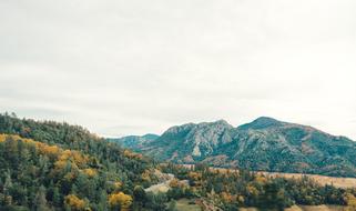 Mountains Hills and Forest