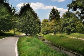 Way Bicycles road