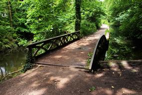 Bridge Pathway among the beautiful plants in shadow and light