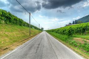 Beautiful road, among the colorful vineyard, in Prosecco, Italy, under the sky with clouds