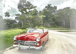 cuba old car forest drawing