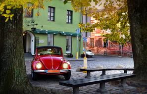 Beetle Car Vintage