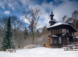 cafe in the winter forest in north bohemia