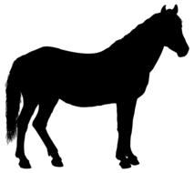 animal equine horse black drawing