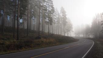 Fog Morning road