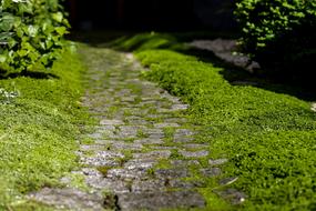 Rocky Road Pavement in Kojarda