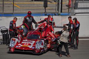 Starting Line-Up Of The Race