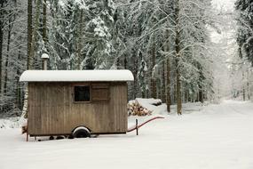 wooden trailer in the winter forest