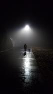Night Fog Dog and man