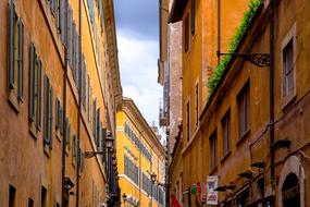 Beautiful and colorful street with plants in Rome, Italy