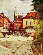 painting watercolor campion vintage drawing