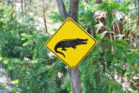 yellow sign with a crocodile in a park in australia