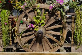 flowers on a wooden cart wheel