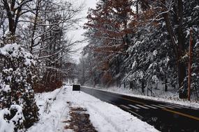 photo of asphalt road on a snowy day