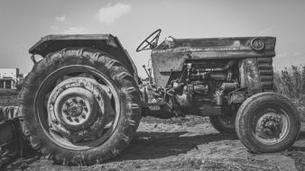 Black and white photo of the rusty tractor among the plants