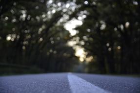 Street Asphalt Line white