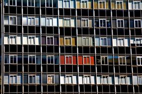 lot of windows on the facade of a modern building