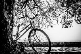 Bike Black And White monochrome