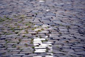 Paving Stones with Grass