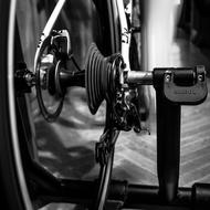 Bicycle Wheels black and white