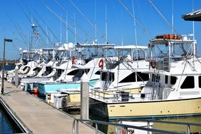 boats moored in row at pier, usa, florida, st augustine