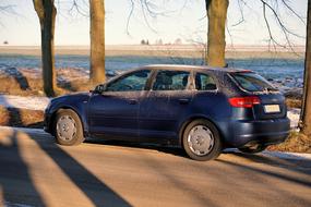 car and trees