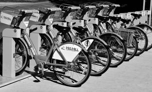 Bikes Rentals in black and white background