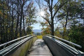 Bridge among the colorful plants on the beautiful landscape in Greifensee, Switzerland