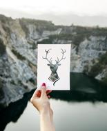 Calm Mountain animal drawing