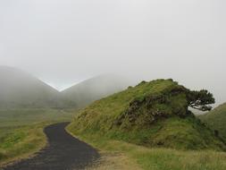 fog Mist Green Hill