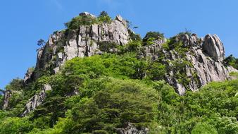 perfect Daedunsan Wanju-Gun