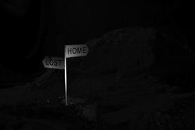 Plank Choice Home Lost