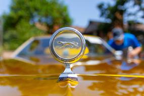 Cougar Car Old logo