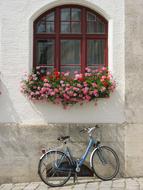 blue bike stands under the window with flowers