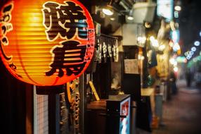perfect Tokyo Night Japan