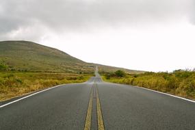 Asphalt road among the colorful plants under foggy sky on the beautiful landscape