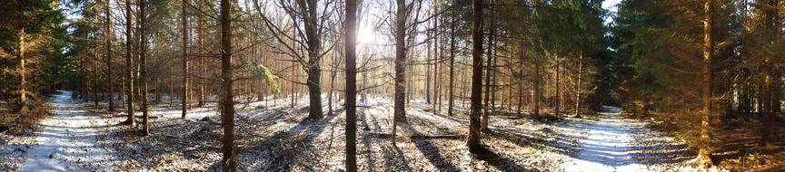delightful Panorama-Like