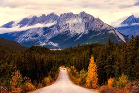 very beautiful Canada Landscape