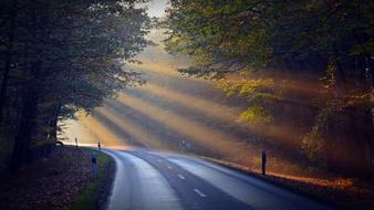 landscape of morning sunshine on a rural road