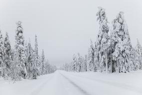 delightful Snow Winter road
