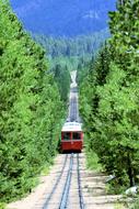 landscape of Train on Railway in forest