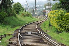 Railway Station forest