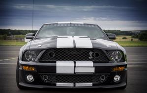 photo of a black with white stripes Shelby Mustang